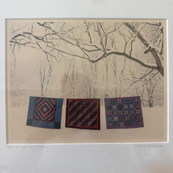 Bill Coleman Amish No. 177 Winter Quilts Limited Edition Framed Numbered Print - Picture 2 of 7